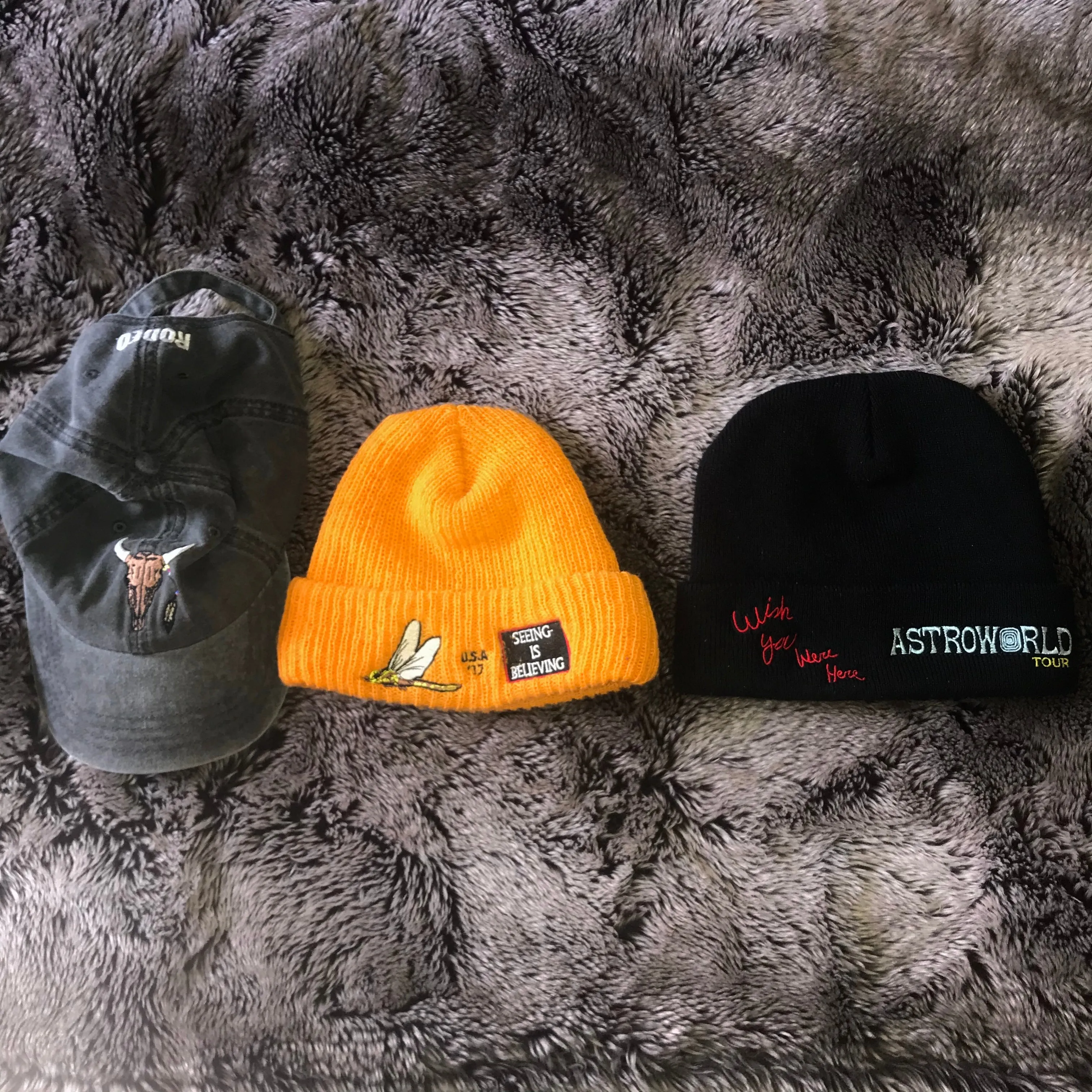 Birds “Seeing is Believing” 2017 Beanie