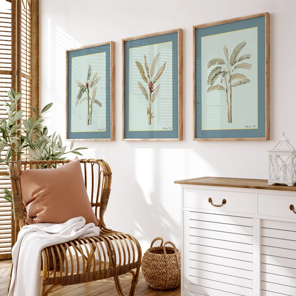 Plantain Tree II - Teal