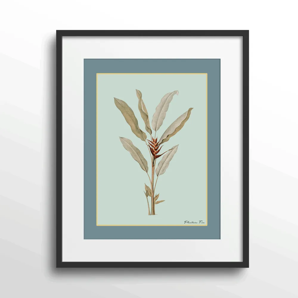 Plantain Tree II - Teal