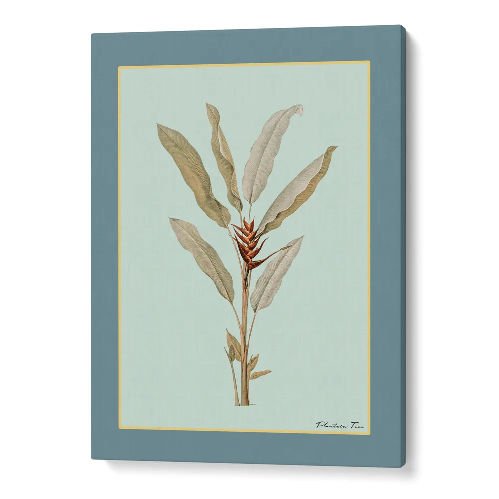 Plantain Tree II - Teal