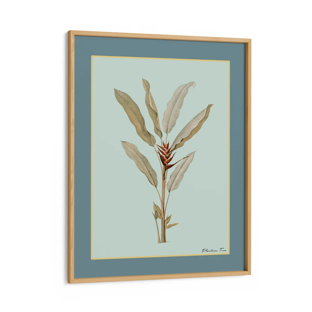 Plantain Tree II - Teal