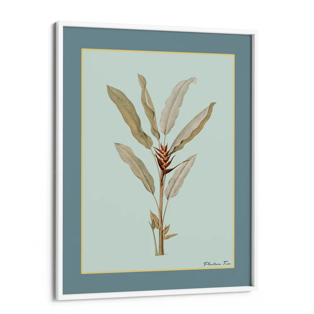 Plantain Tree II - Teal