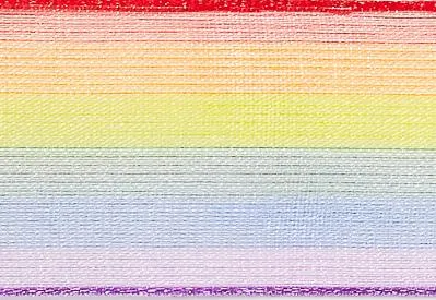 Rainbow Organza Ribbon cut to 80CM (24 pieces)