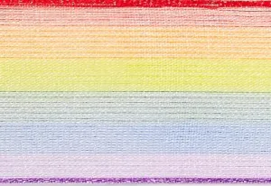 Rainbow Organza Ribbon cut to 80CM (24 pieces)