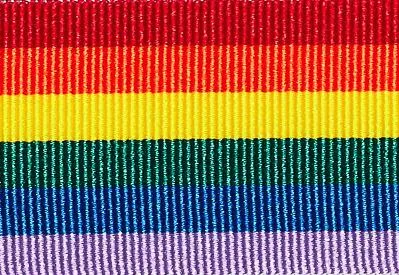 Rainbow Solid Stripe Grosgrain Ribbon cut to 80CM (24 pieces)