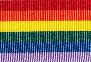 Rainbow Solid Stripe Grosgrain Ribbon cut to 80CM (24 pieces)