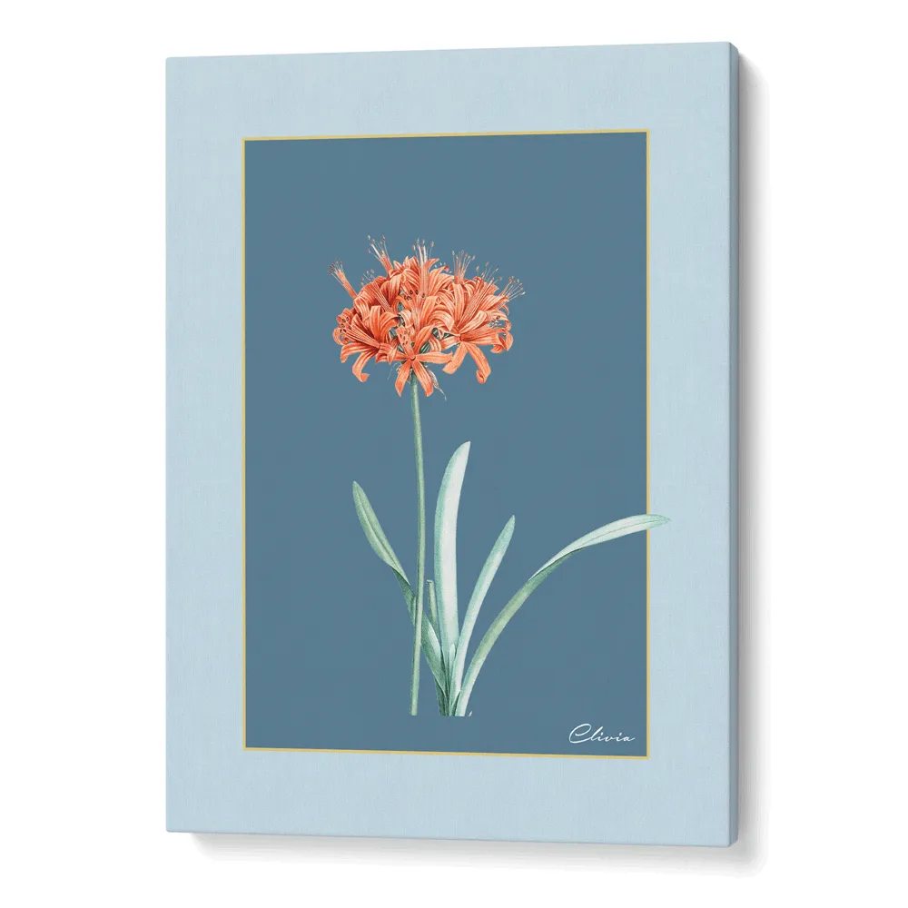 Ruby Blossom - Wild Blue