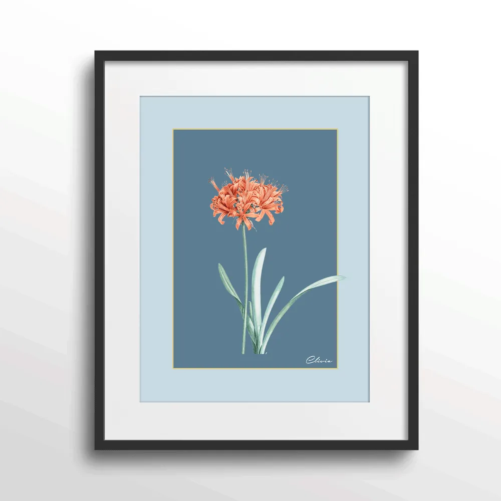 Ruby Blossom - Wild Blue