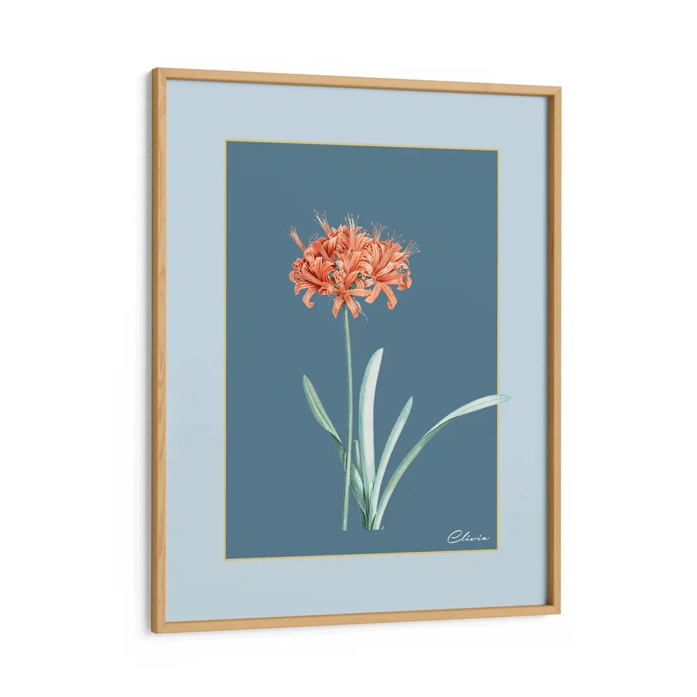 Ruby Blossom - Wild Blue